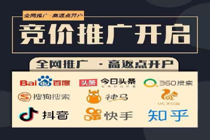 百度推广实战：成功案例解析