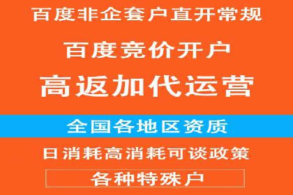 高效SEM托管服务：成功案例深度解析